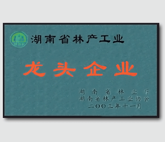 湖南省林業(yè)產業(yè)龍頭企業(yè)